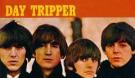 DAY TRIPPER DAY TRIPPER