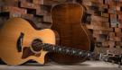 Taylor 612ce y 612ce 12-Fret Taylor 612ce y 612ce 12-Fret